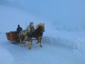 Sleigh ride at South Tirol