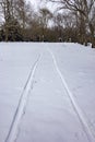 Sleigh traces on snow