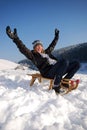 Sleighing Royalty Free Stock Photo