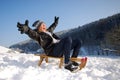 Sleighing Royalty Free Stock Photo