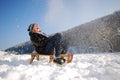 Sleighing Royalty Free Stock Photo