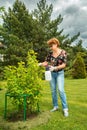 A slender elderly woman, dressed in a light blouse and blue jeans, is working in her garden Royalty Free Stock Photo