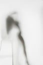 Beautiful and long hair woman body silhouette behind a diffuse curtain Royalty Free Stock Photo