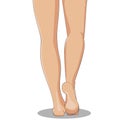 Slender female legs, barefoot, back view. Feminine concept, design element for spa, medical centers, cosmetic products.