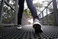 Slender female legs in blue jeans and grey sneakers walking along forest trail Royalty Free Stock Photo