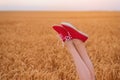 Slender female legs in red sneakers on field of ripe wheat background. Close up Royalty Free Stock Photo
