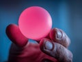 Hand holding a glowing pink spherical object with textured skin details against a soft blue background in a mystical and Royalty Free Stock Photo