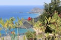 Slender oleanders against the background of the sandy coves of Rhodes Island.