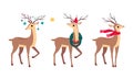 Slender Reindeer with Antler Wearing Scarf and Advent Wreath Vector Set