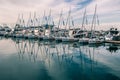 A slender row of yachts in the port of Sochi.