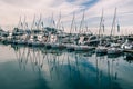 A slender row of yachts in the port of Sochi.