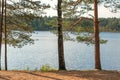 Slender trunks of pine and birch trees against the background of the water surface of a forest lake and a blue sky with clouds Royalty Free Stock Photo