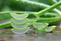 slice aloe vera with essential oil on stone