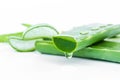 slice aloe vera fresh leaf isolated on white Royalty Free Stock Photo