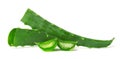 Slice Aloe Vera fresh leaf isolated on white background. Royalty Free Stock Photo