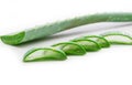 Slice Aloe Vera a very useful herbal medicine for skin care and hair care