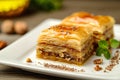 slice of baklava, a Turkish dessert with layers of filo pastry, nuts, and honey, cut into diamond shapes, in the style Royalty Free Stock Photo