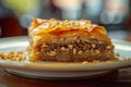 slice of baklava, a Turkish dessert with layers of filo pastry, nuts, and honey, cut into diamond shapes, in the style Royalty Free Stock Photo