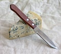 Slice of blue cheese with knife Royalty Free Stock Photo