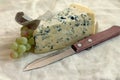 Slice of blue cheese with knife and grapes Royalty Free Stock Photo