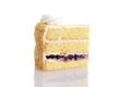 Slice of blueberry cream cake