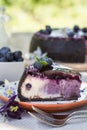 Blueberry flavour cheesecake swirled with blueberry sauce on a biscuit crumb, bakery. Delicious slice of blueberries