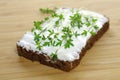 Slice of bread with cottage cheese