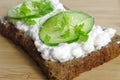 Slice of bread with cottage cheese