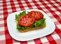 Slice of bread, lettuce and tomato Royalty Free Stock Photo