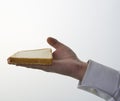 A slice of bread mold