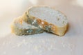 Slices of moldy bread on light background. Food not suitable for consumption Royalty Free Stock Photo