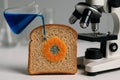 Exploring mold growth on bread with a microscope and blue liquid in a laboratory setting Royalty Free Stock Photo