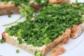Slice of brown bread with butter and chives rolls Royalty Free Stock Photo