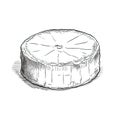 slice camembert cheese ai generated