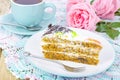Slice of carrot sponge cake with cream Royalty Free Stock Photo
