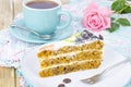 Slice of carrot sponge cake with cream Royalty Free Stock Photo