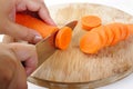 Slice carrot on wood