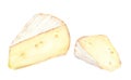 Slice of cheese brie. Water color