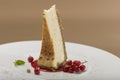 Slice cheesecake with forest fruits Ã¢â¬â red currants, mint and gold leaf on white plate, brown background