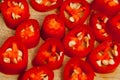 Slice chilli pepper Royalty Free Stock Photo