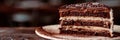 slice of chocolate cake, highlighting the decadent layers of moist cake and creamy frosting in exquisite detail Royalty Free Stock Photo