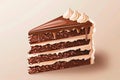 slice of chocolate cake, highlighting the decadent layers of moist cake and creamy frosting in exquisite detail Royalty Free Stock Photo