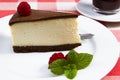 A slice of chocolate cheese cake