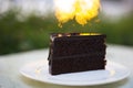 Slice of chocolate fudge cake Royalty Free Stock Photo