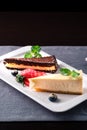 Slice of chocolate vanilla cheesecake on plate against a rustic white wood table Royalty Free Stock Photo