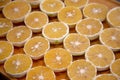 Slice citrus orange on wood plate
