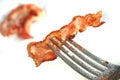 Slice of crispy bacon on fork