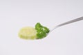 Slice of cucumber on fork Royalty Free Stock Photo