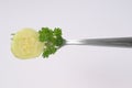 Slice of cucumber on fork Royalty Free Stock Photo