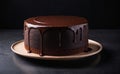 A slice of decadent chocolate cake with chocolate ganache